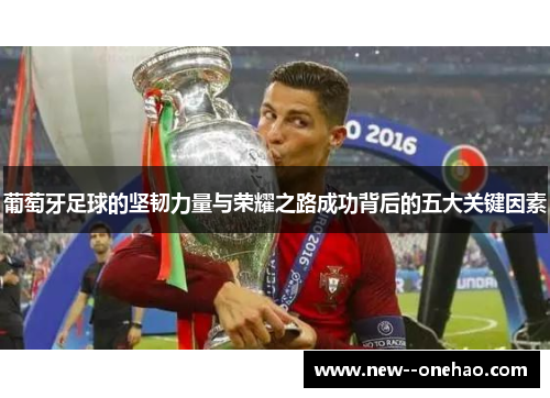 葡萄牙足球的坚韧力量与荣耀之路成功背后的五大关键因素