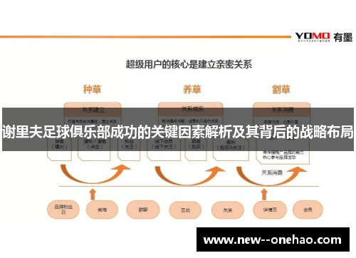 谢里夫足球俱乐部成功的关键因素解析及其背后的战略布局