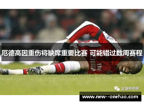 厄德高因重伤将缺席重要比赛 可能错过数周赛程