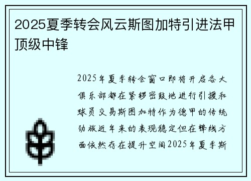 2025夏季转会风云斯图加特引进法甲顶级中锋